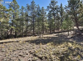 504 Bear Mountain Rd, Florissant, CO 80816