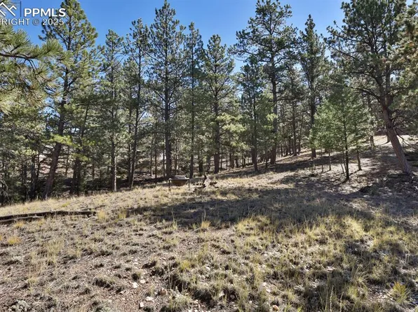 504 Bear Mountain Rd, Florissant, CO 80816