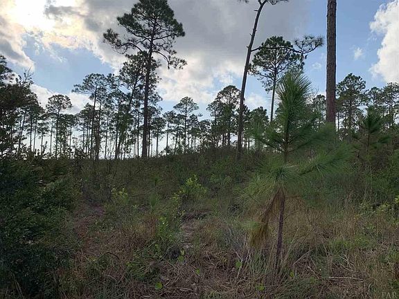3rd image of 12989 Island Spirit Dr