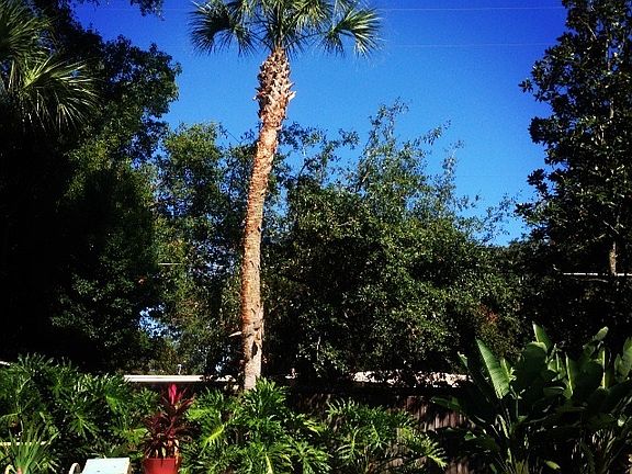 2nd image of 3905 Wren Ln