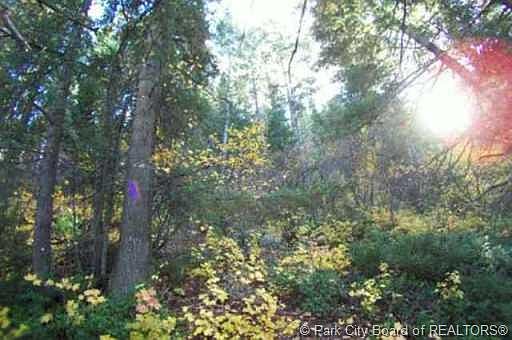 4th image of 170 Matterhorn Dr #M-2-45