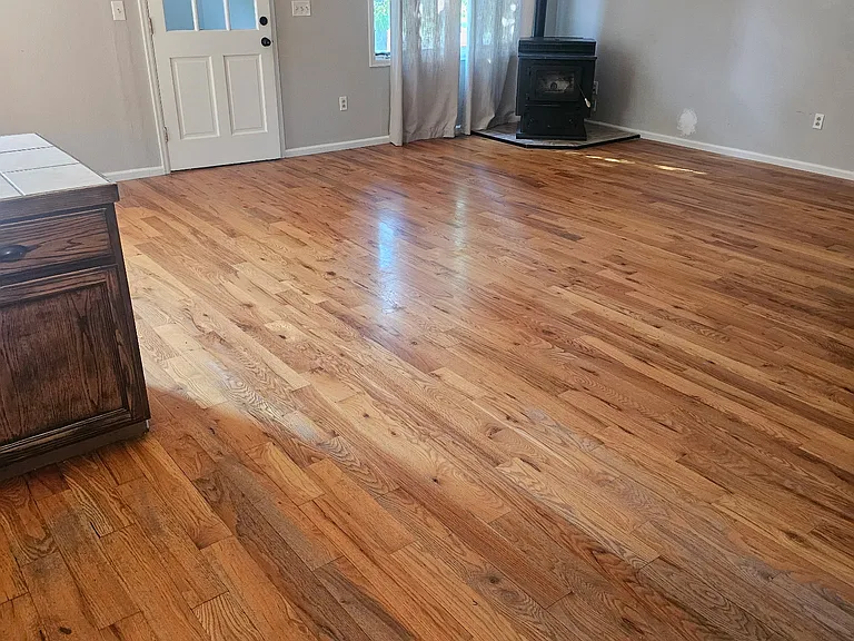 360 Birch St — Photo 3