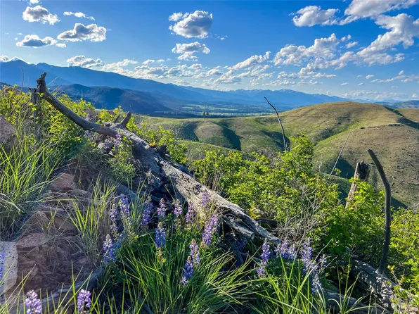 Nhn Wet Draw Rd, Conner, MT 59827
