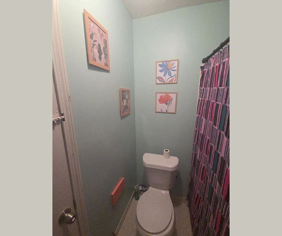 Downstairs jack and jill bathroom - Brownbark Dr