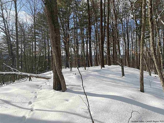 4th image of LOT 22 Covenant Cir