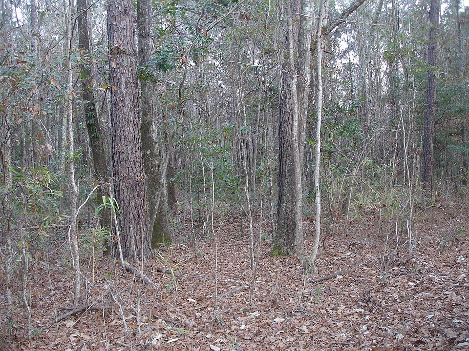 2nd image of 5563 Mauss Hill Rd