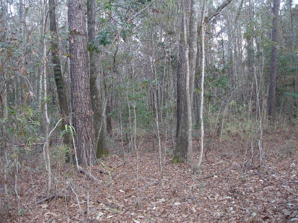5563 Mauss Hill Rd, Adams Run, SC 29426