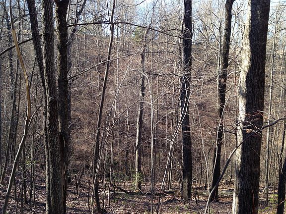 View from Ridge to Ridge