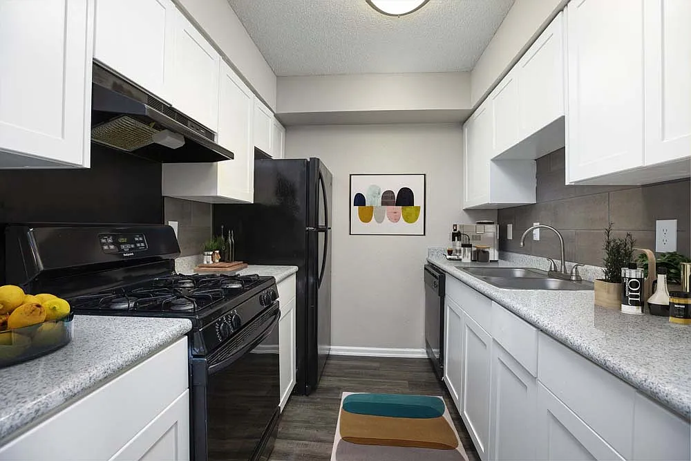 The Clara — Photo 3