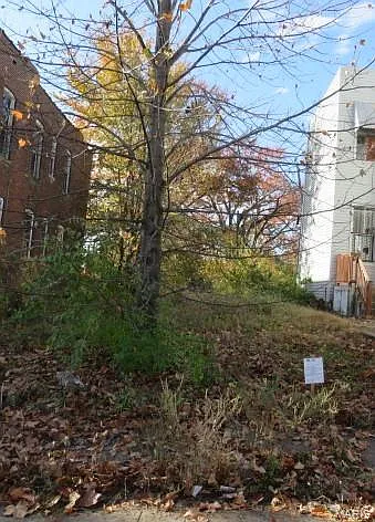 5225 Conde St photo 1
