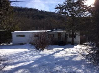 1322 Trout Brook Rd, Downsville, NY 13755