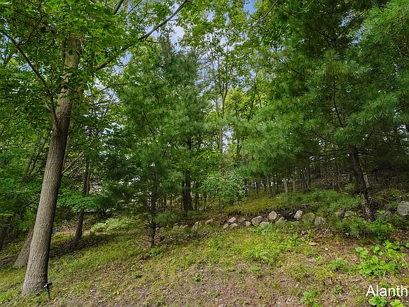 4th image of 18443 Iroquois Dr