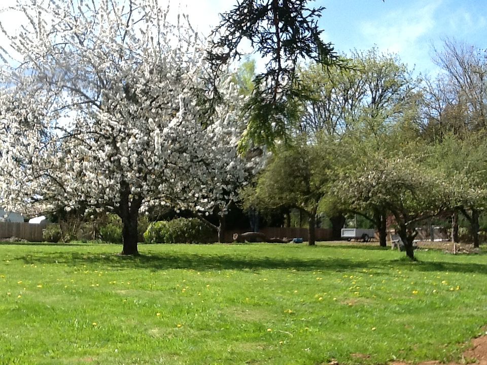 2nd image of 19460 S South End Rd