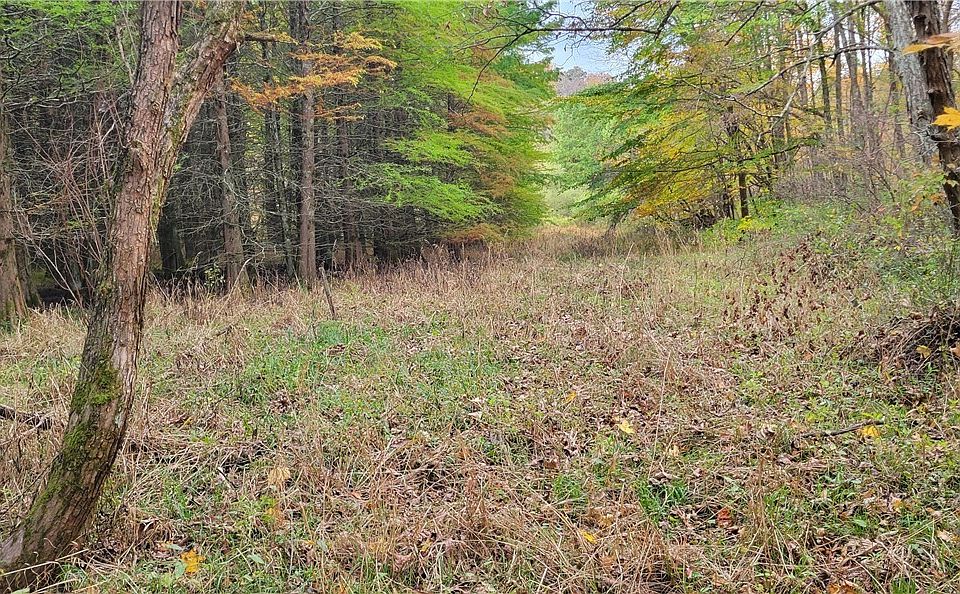 2nd image of 0 Green Rd