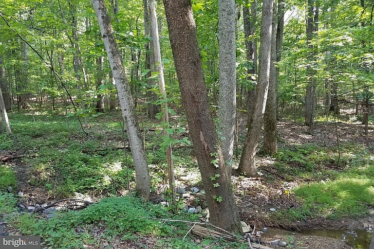 2nd image of 353 White Mule Ln
