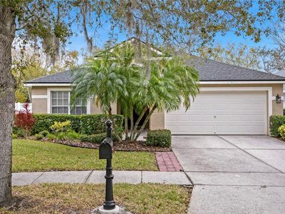 11504 Cypress Reserve Dr, Tampa, FL, 33626