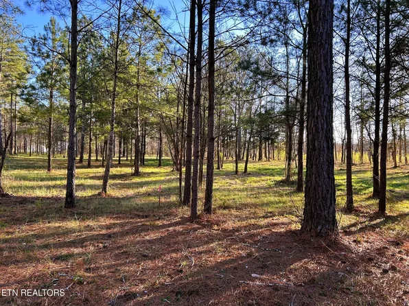 4 County Road 950, Calhoun, TN 37309
