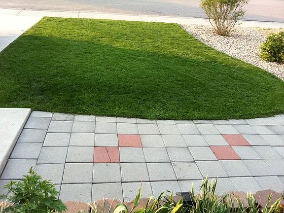 Landscaped Front Yard