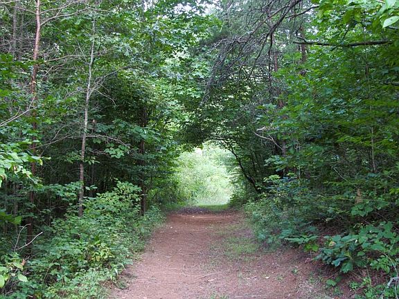Walking Trail