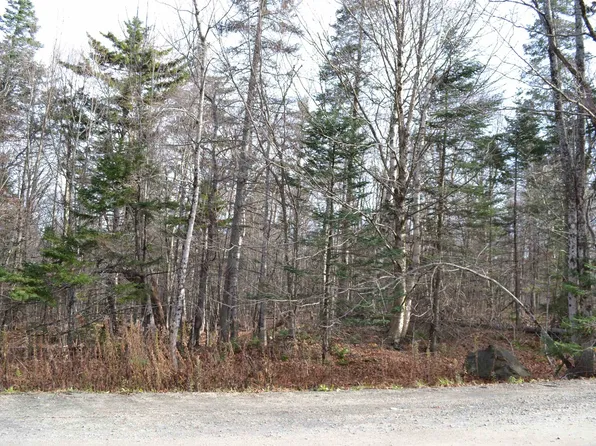 00 Shallowbrook Road Lot #9, Jay, VT 05859