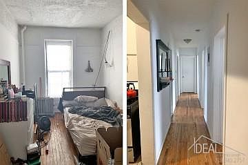 2nd image of 1022 Halsey Brooklyn