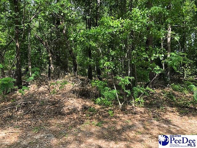 1st image of 2.98 Tract Airport Ln