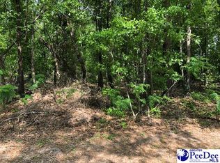 2.98 Tract Airport Ln, Cheraw, SC 29520