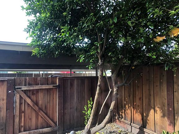 3rd image of 406 Don Carlos Ct