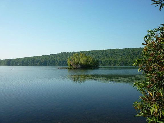 4th image of 49 Midlake Dr #102