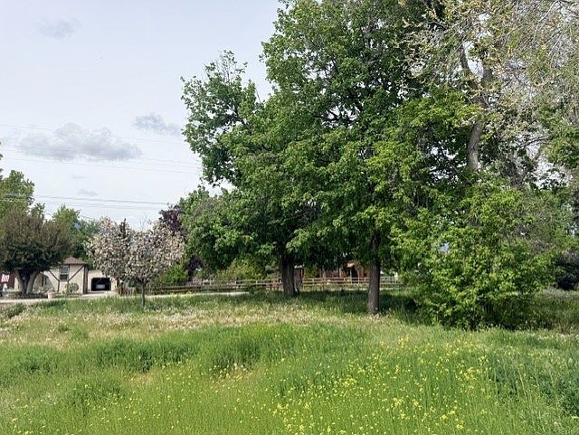 2nd image of 240 Daly Ave