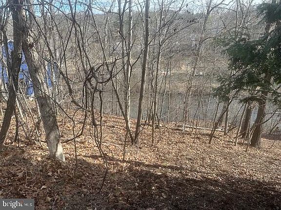 3rd image of 1235 Lakeview Dr