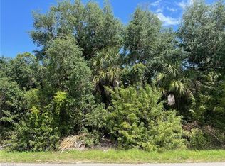  20th AVE NE, NAPLES, FL 34120