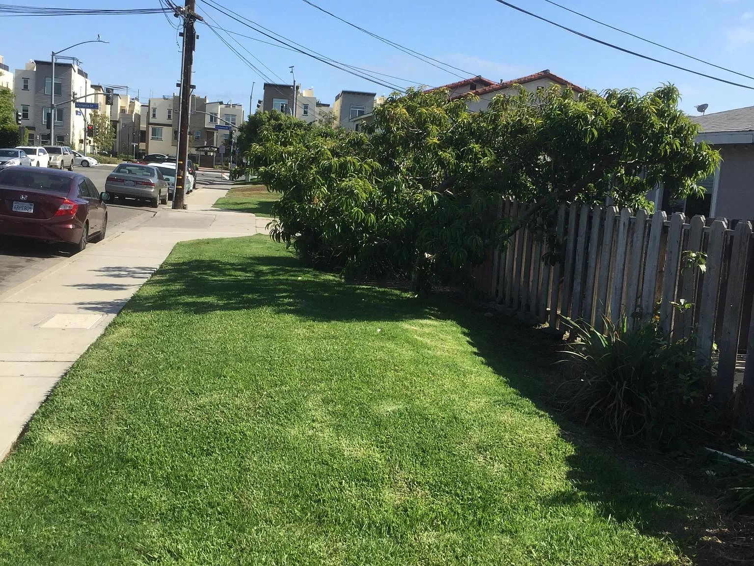 2 bed, 850 sqft, $3,150 — Photo 3