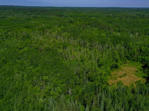 Tbd Co 47, Osage, MN 56570