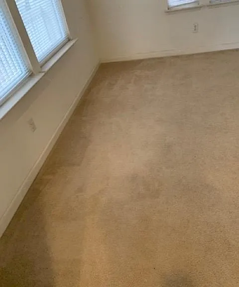 364 Chase St — Photo 8