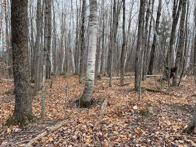 0 S Whitman School Road, Buckfield, ME, 04220