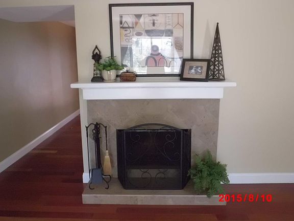 Wood Burning Fireplace