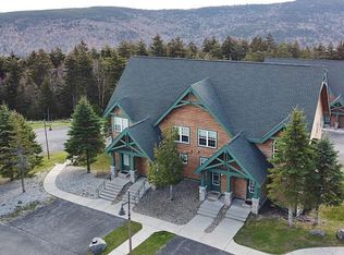 13 Camp 4 Ln, Slatyfork, WV 26291