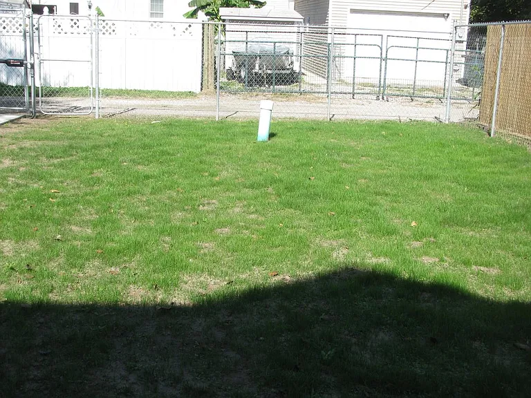 Back yard view #2