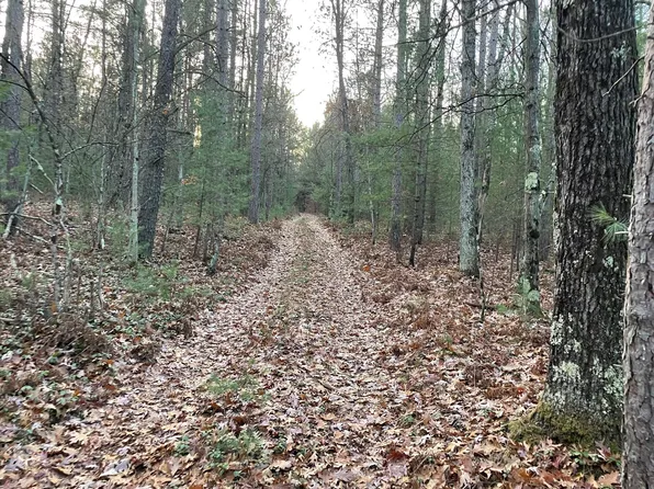 V/l Frst, Irons, MI 49644