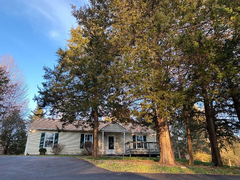 296 Morning Glory Rd, Ruckersville VA 22968 — Photo 3