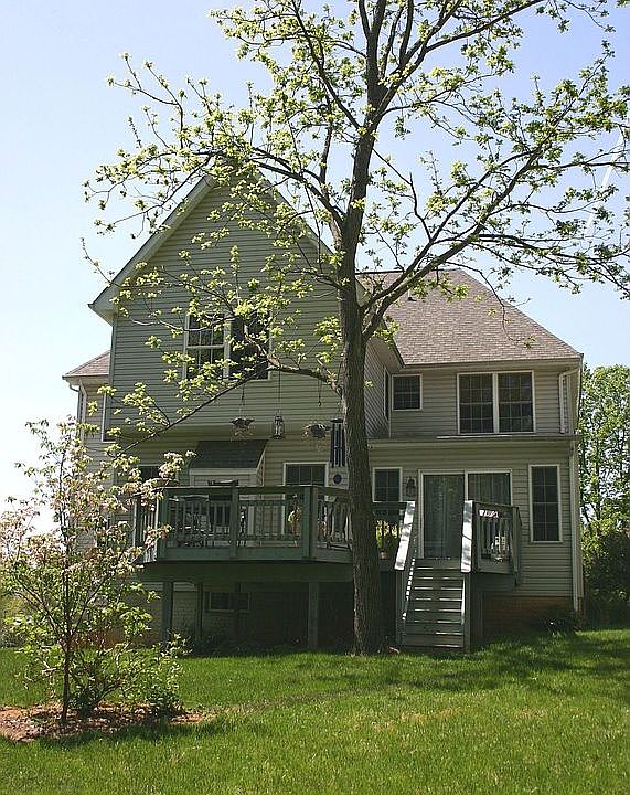Rear Exterior