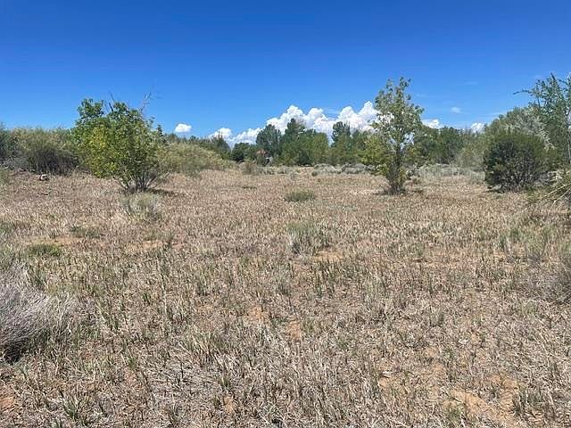 2nd image of Tract B Witt Road