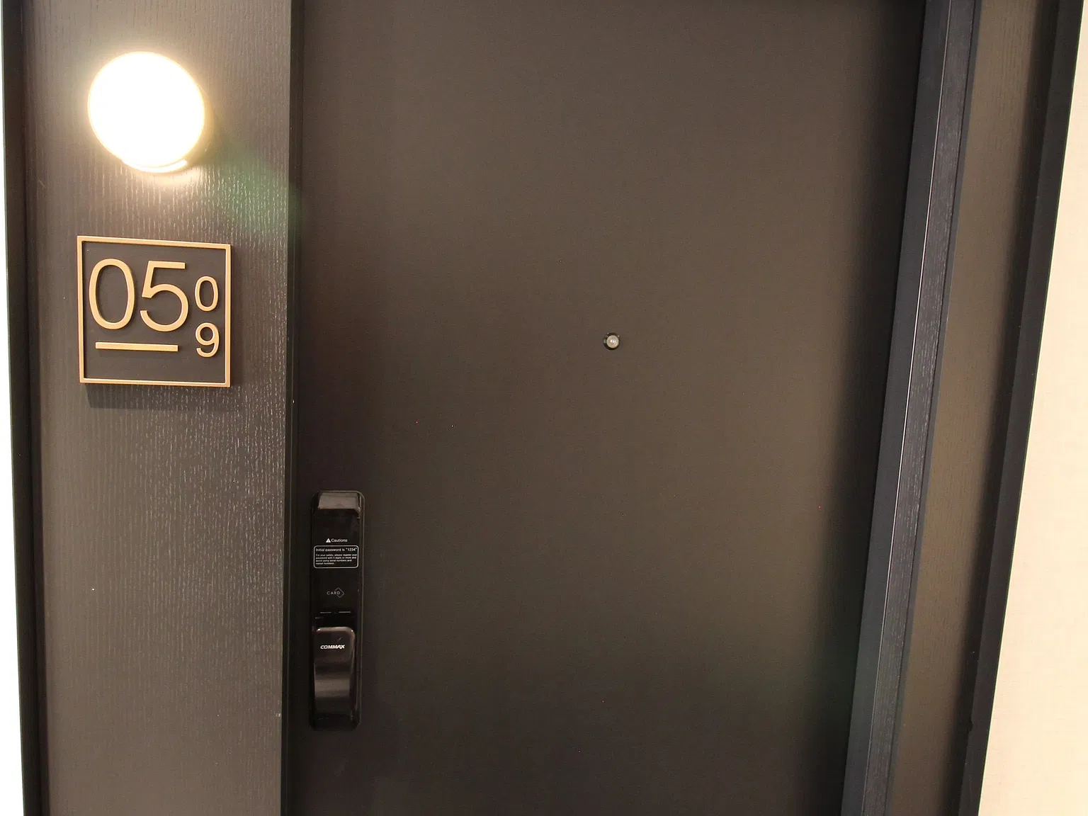 2 bed, $2,300 — Photo 3