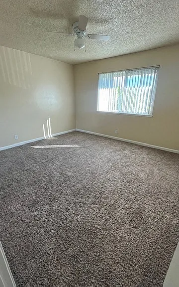1424 Alamo Dr — Photo 9