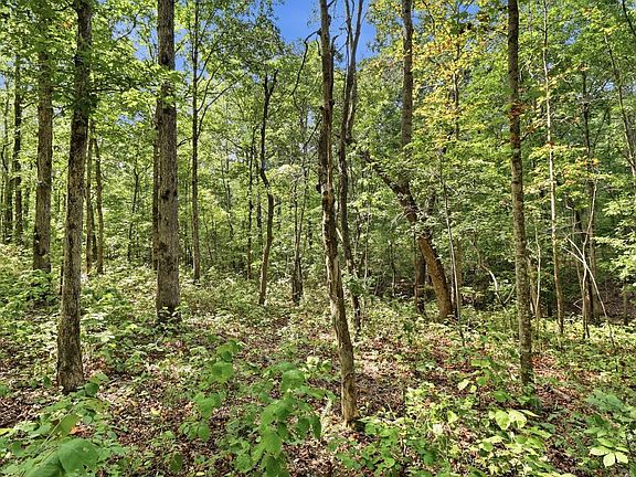 4th image of 845 Ridgewood Dr Lot 17