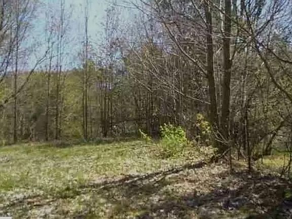 2nd image of 6412 Applewood Ln