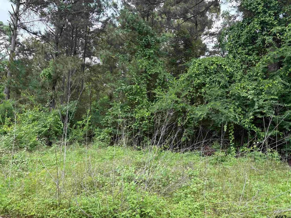 404 Post Oak Dr, Bullard, TX 75757
