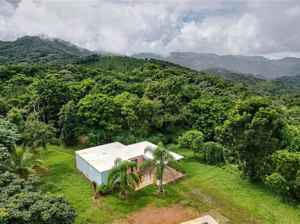 Road Km 17.7 Bo Mameyes #141, Utuado, PR 00641