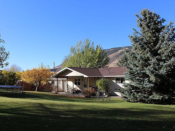 Back yard (fall)